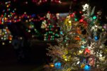 holidayhills_8453.jpg