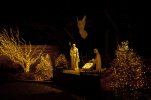 nativity_8520.jpg