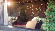 CT Photo Op - Sleigh 2.JPG