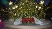 CT Photo Op - Festhaus Tree 1.JPG