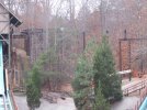 IMG_8794.JPG