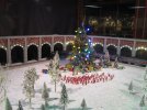 IMG_7303.JPG