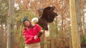 Eagle 1.JPG