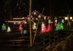 IMG_0793.JPG