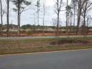 Parkin Lot expansion 2.JPG