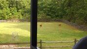 IMG_20140509_170612352.jpg