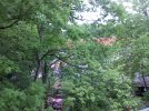 0509141604.jpg