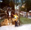 GeoUSA and Clydesdale 1976.jpg