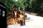 GeoUSA and Clydesdale 1976-2014-b.jpg