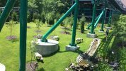 Busch Gardens Scottish Blackface Sheep under Verbolten.jpg
