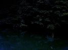 ReflectionWater2_VP_0804.jpg