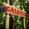 The_Grizzly__kingsdominionva__kdfans__kd40.jpg