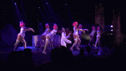 hips.gif