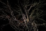 wm_MG_5734.JPG