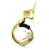 sousaphone-1.jpg
