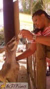 Kangaroo_Bottle_Feeding_6.jpg