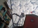 DSC05429.JPG
