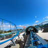 Seaworld Super Enthusiast